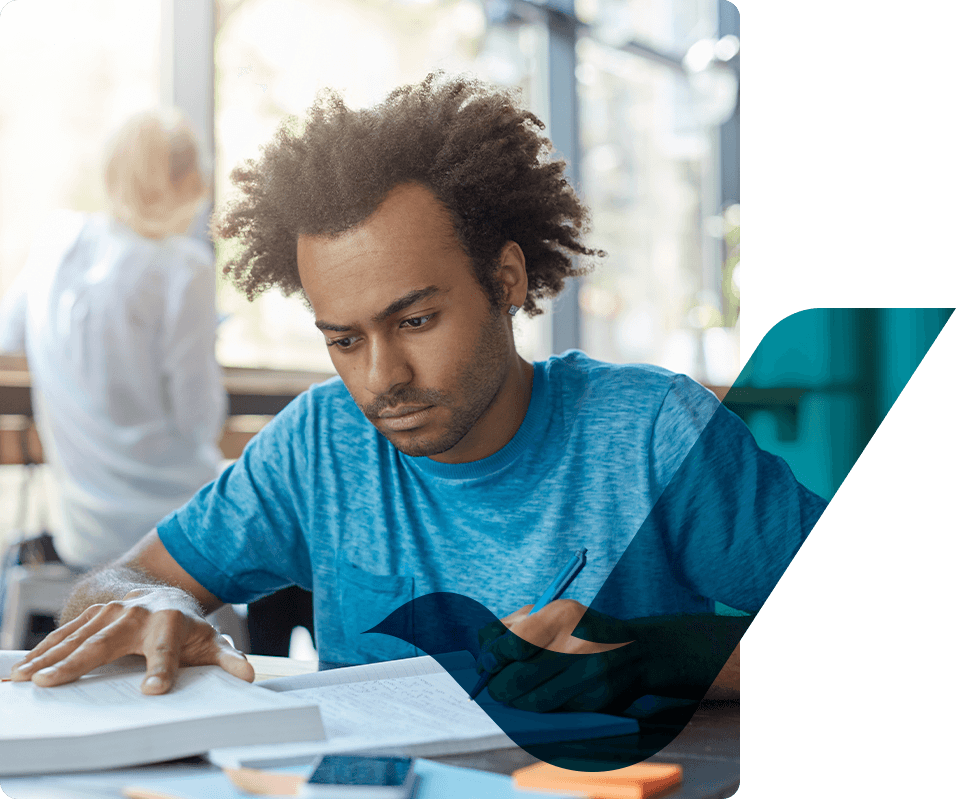 Descrição da Imagem